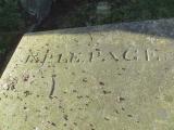 image of grave number 883392